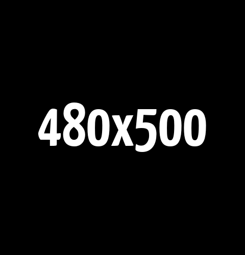 Png Image 480 500 Pixels Pullman