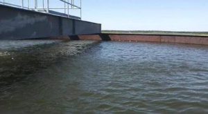 concrete repair services